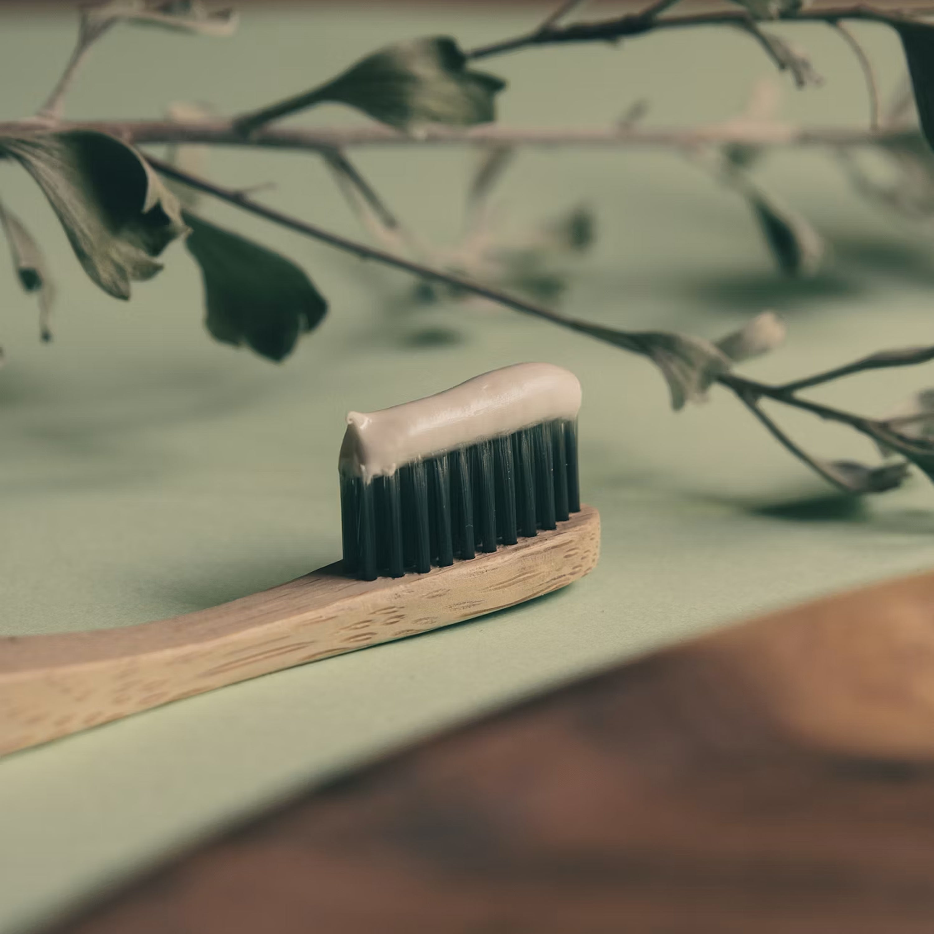 Dental Care