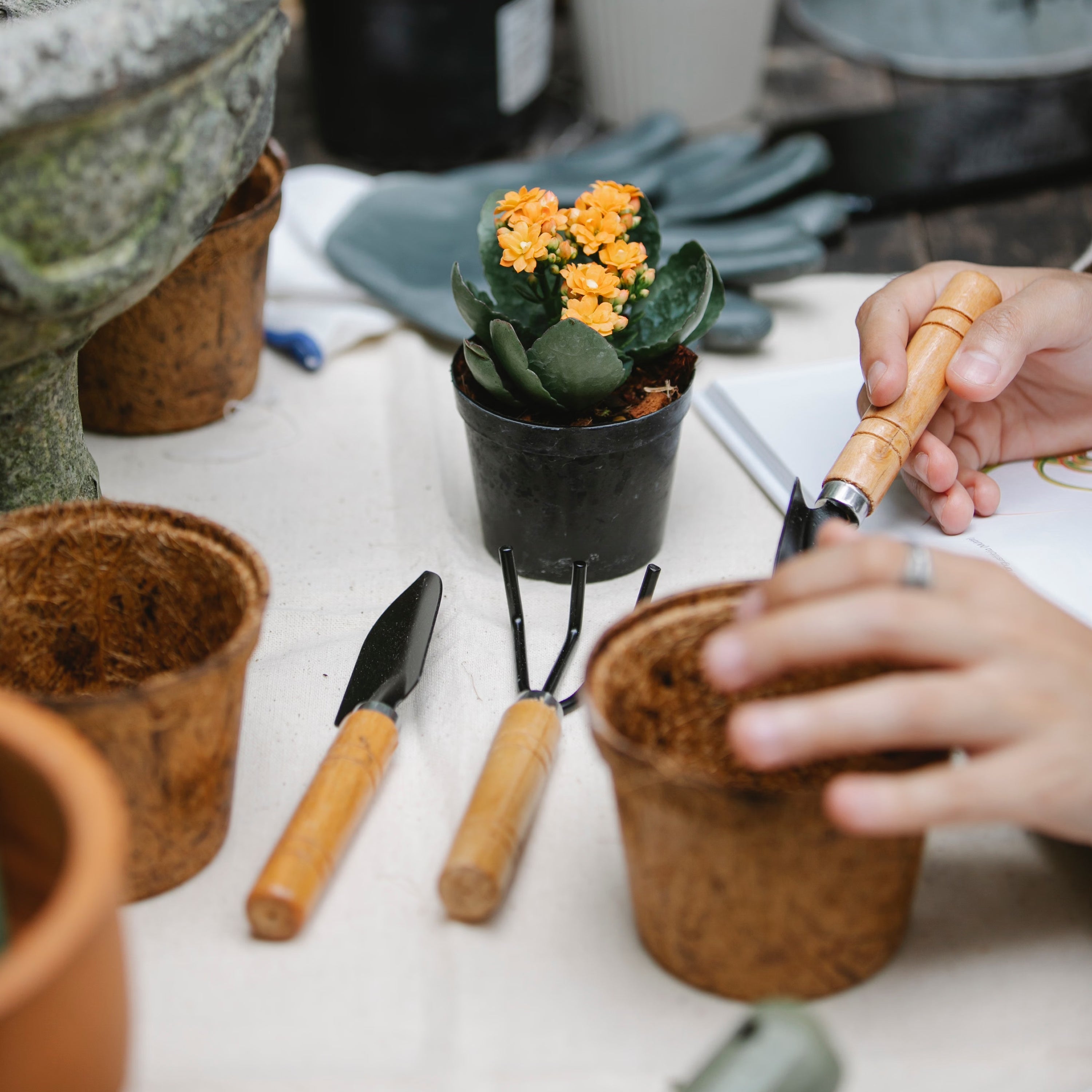Planting Tools