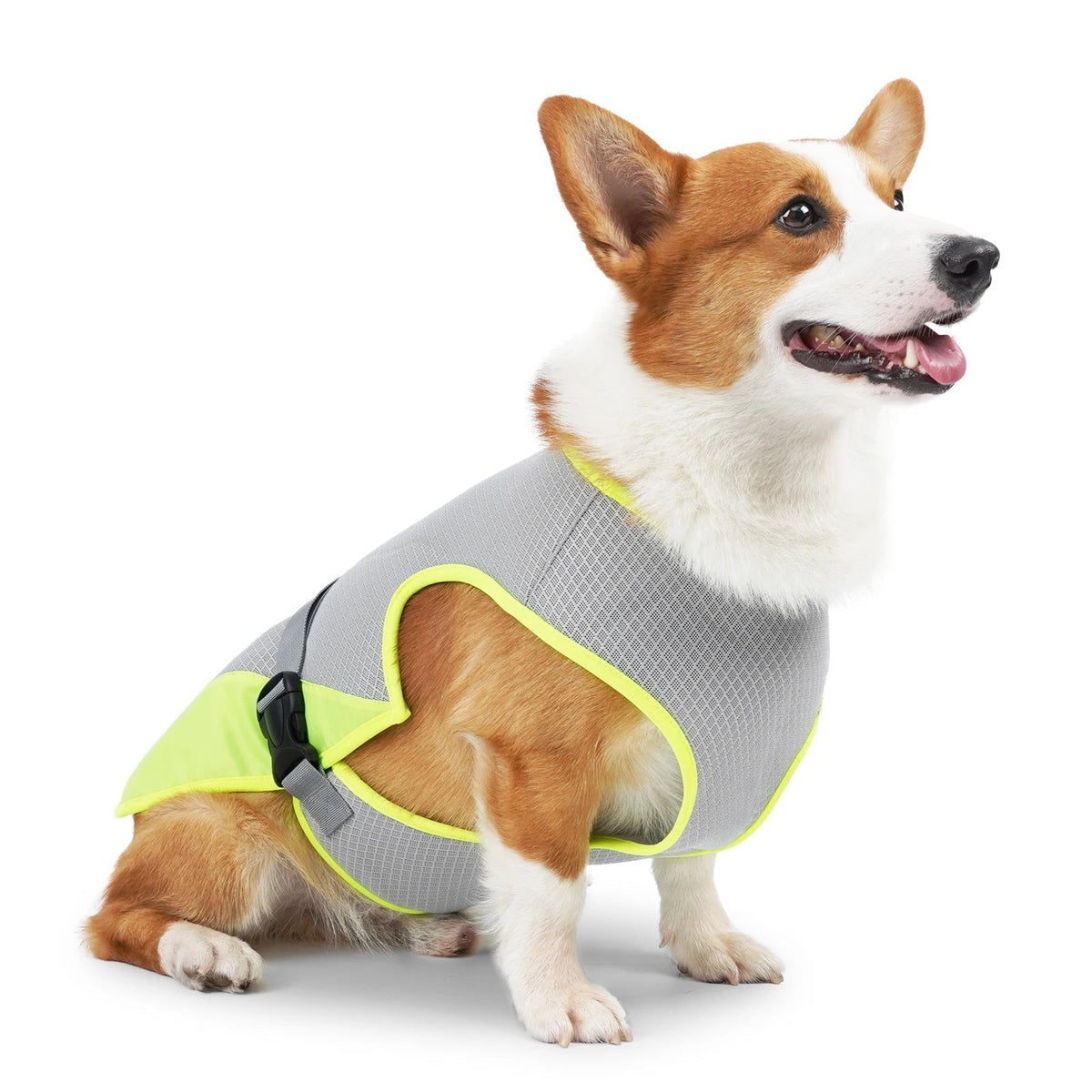 VeciGimax Evaporative Heat Relief Jacket for Dogs