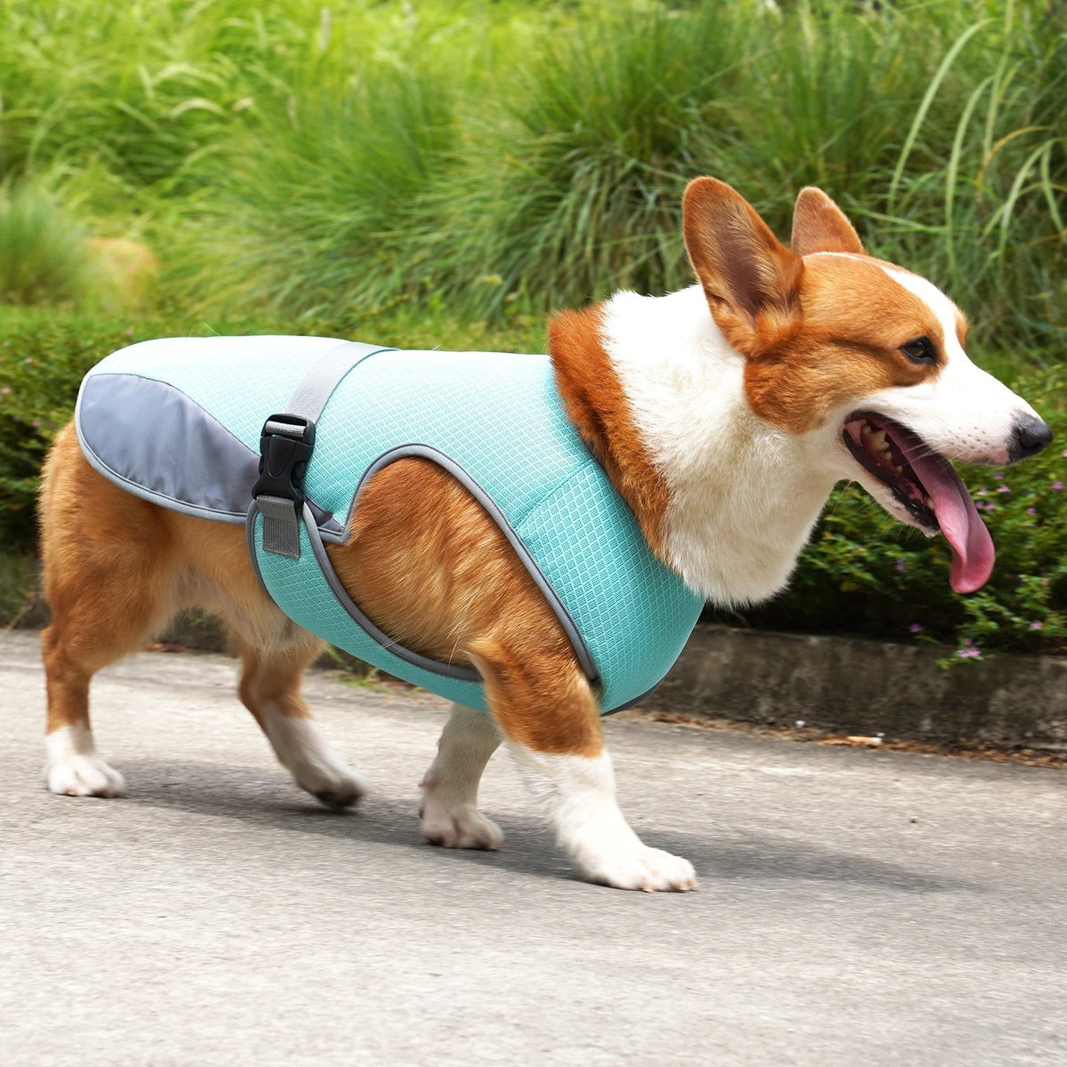 VeciGimax Evaporative Heat Relief Jacket for Dogs