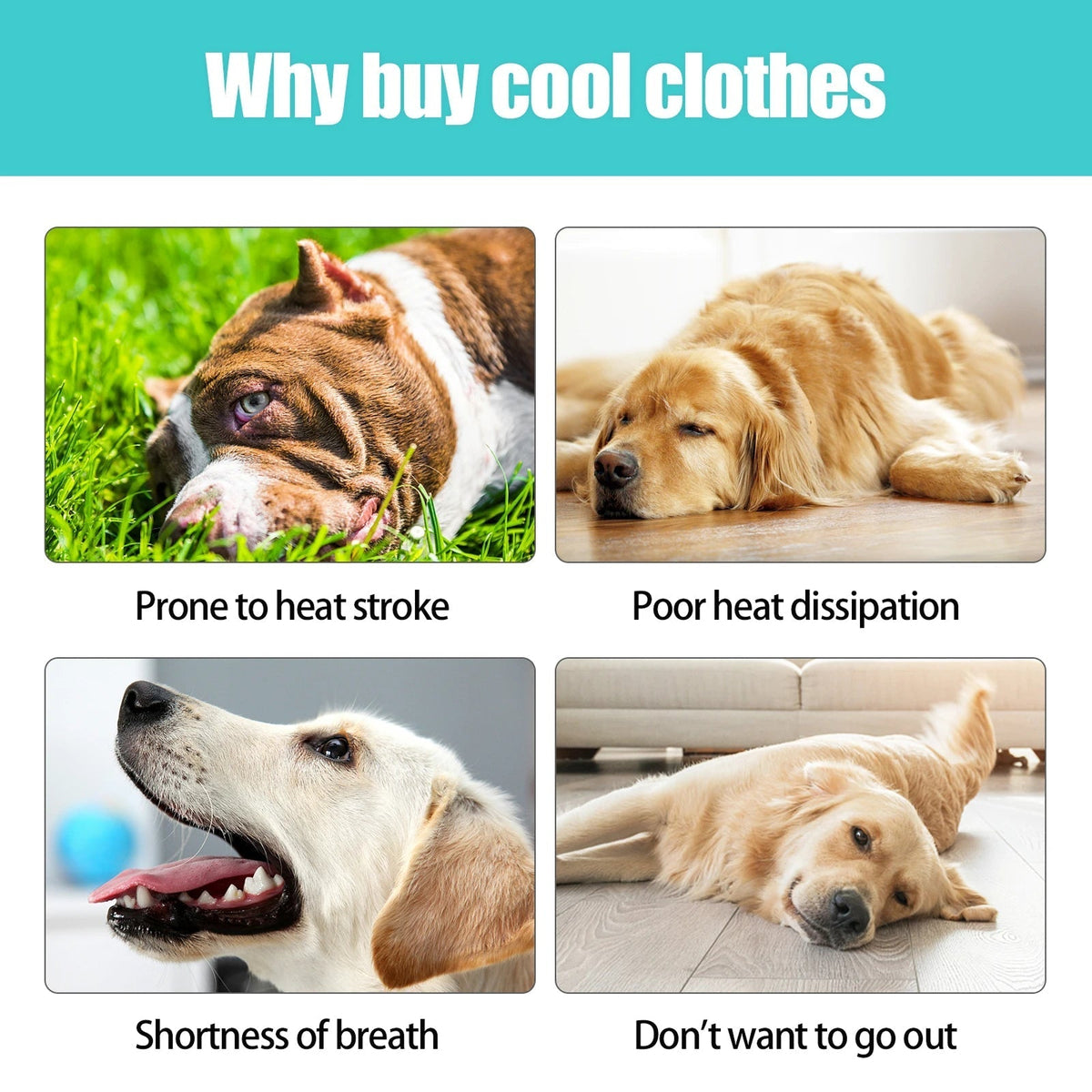 VeciGimax Evaporative Heat Relief Jacket for Dogs
