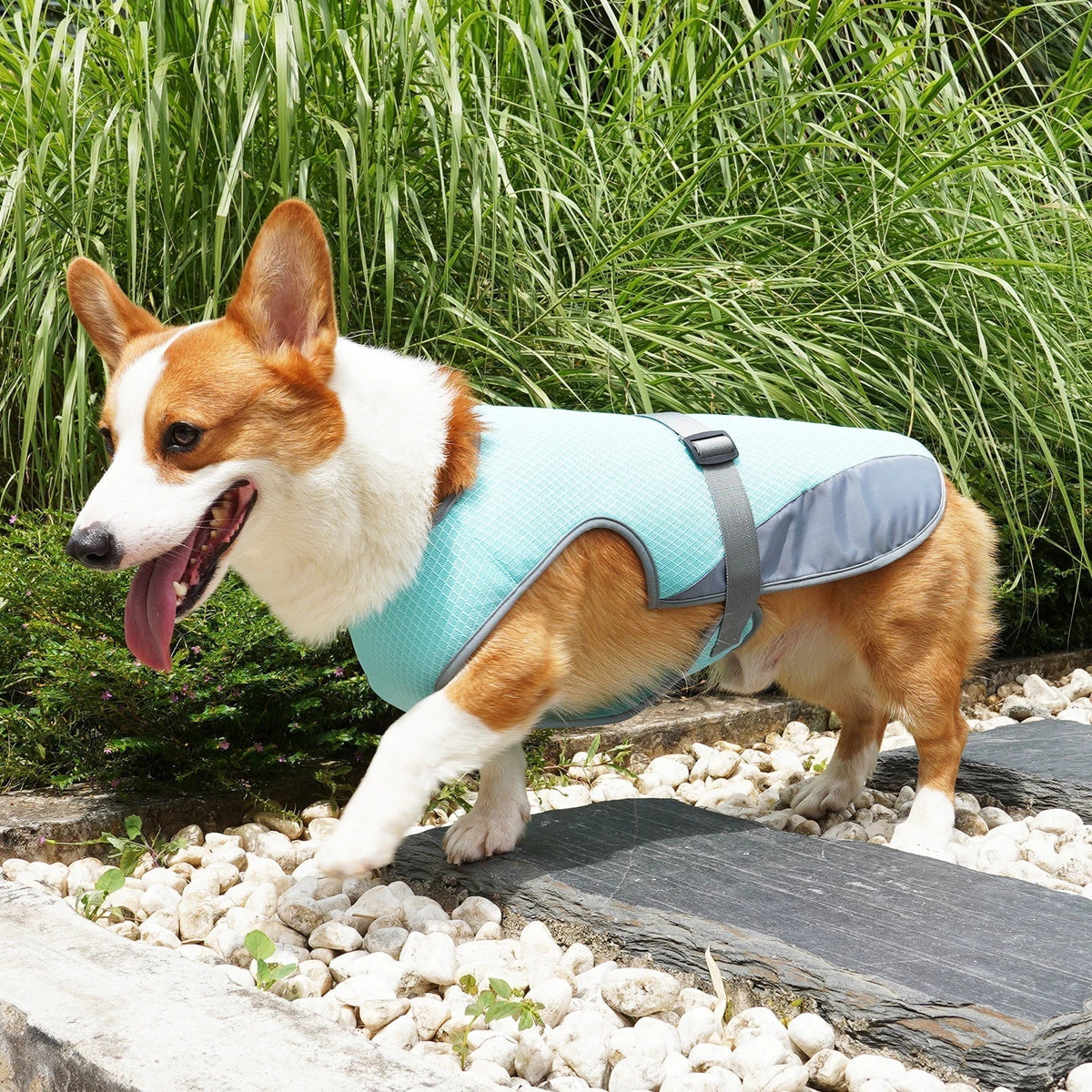 VeciGimax Evaporative Heat Relief Jacket for Dogs