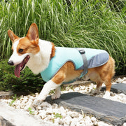 VeciGimax Evaporative Heat Relief Jacket for Dogs