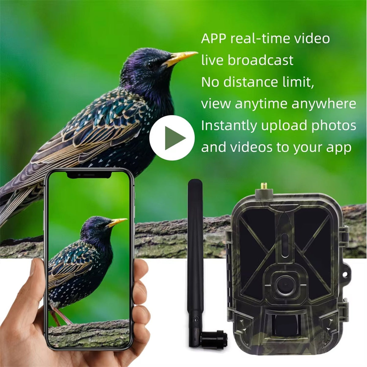 BushiCame 4G LTE Night Wildlife Camera - 4K Video & 30MP Photos