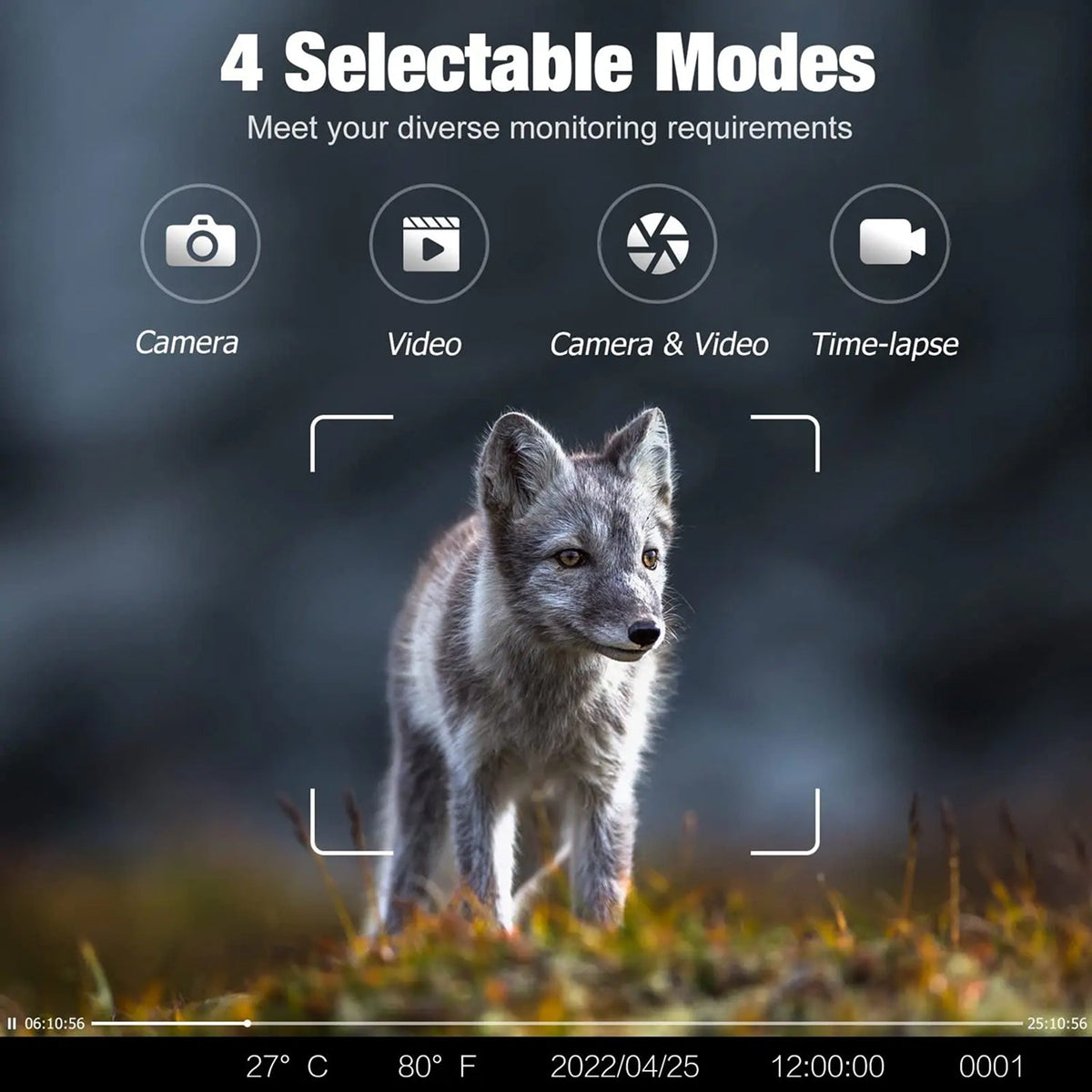 BushiCame 4G LTE Night Wildlife Camera | 4K 30MP Trail Cam