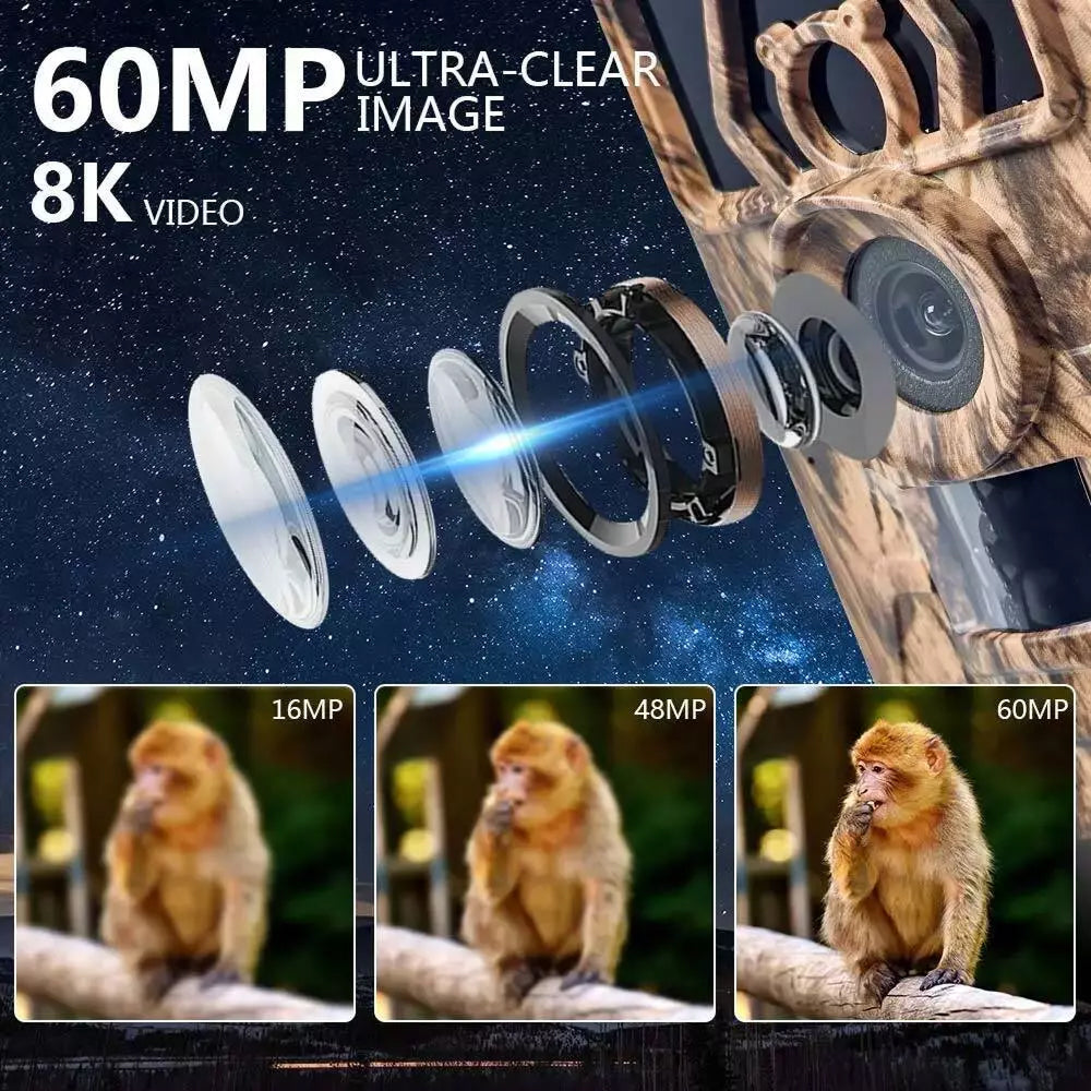 WicamTra