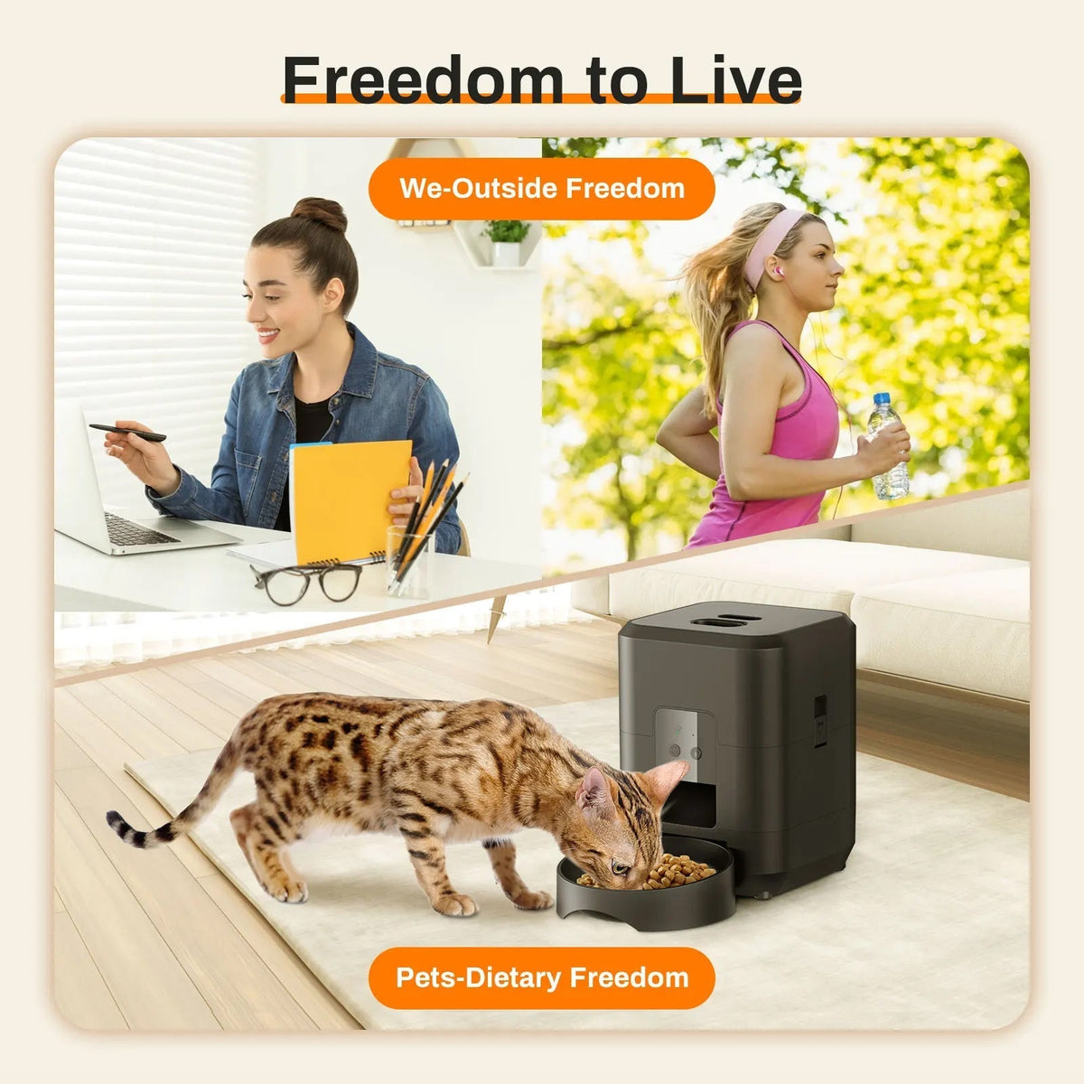 FeediChow 1
