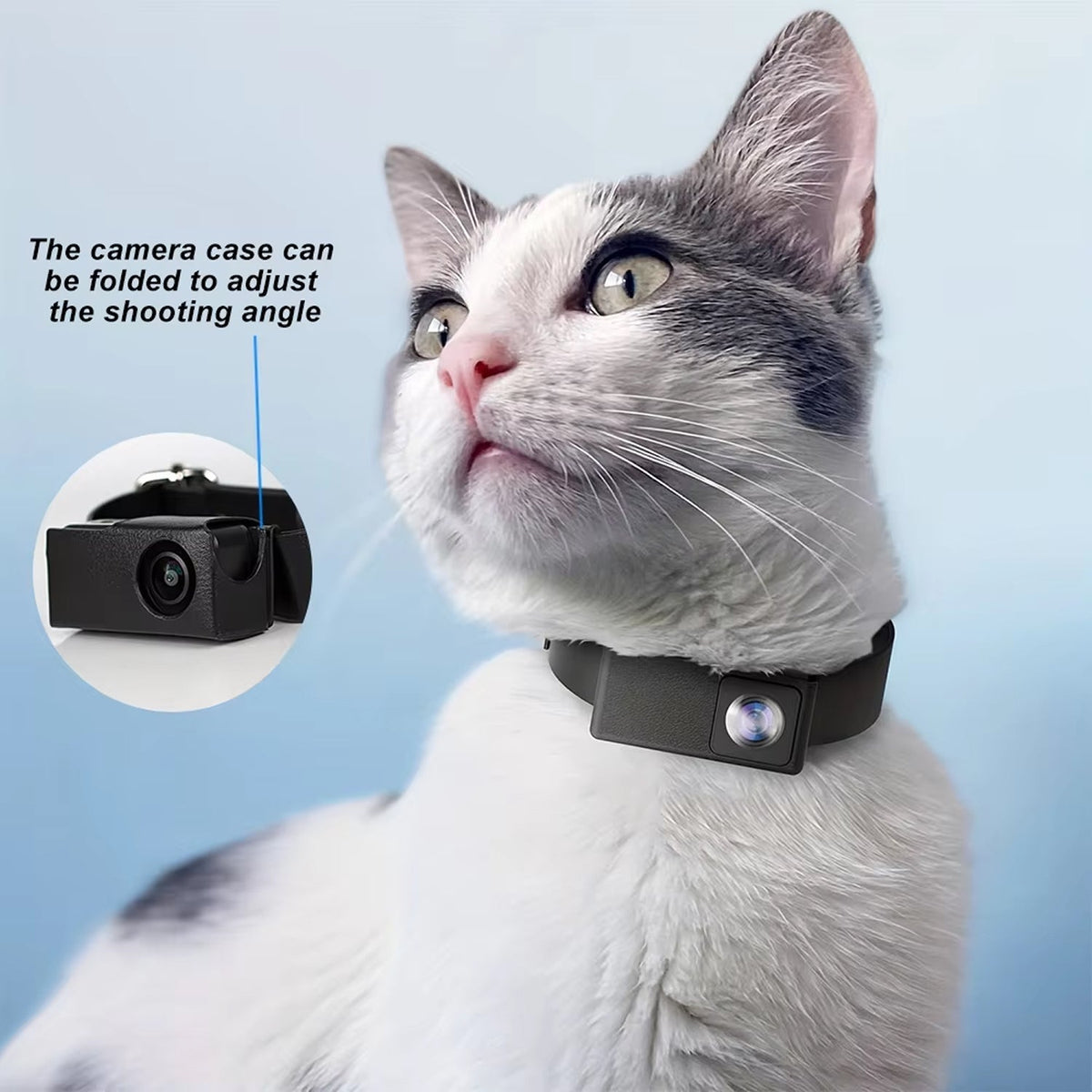 KittiTrek
