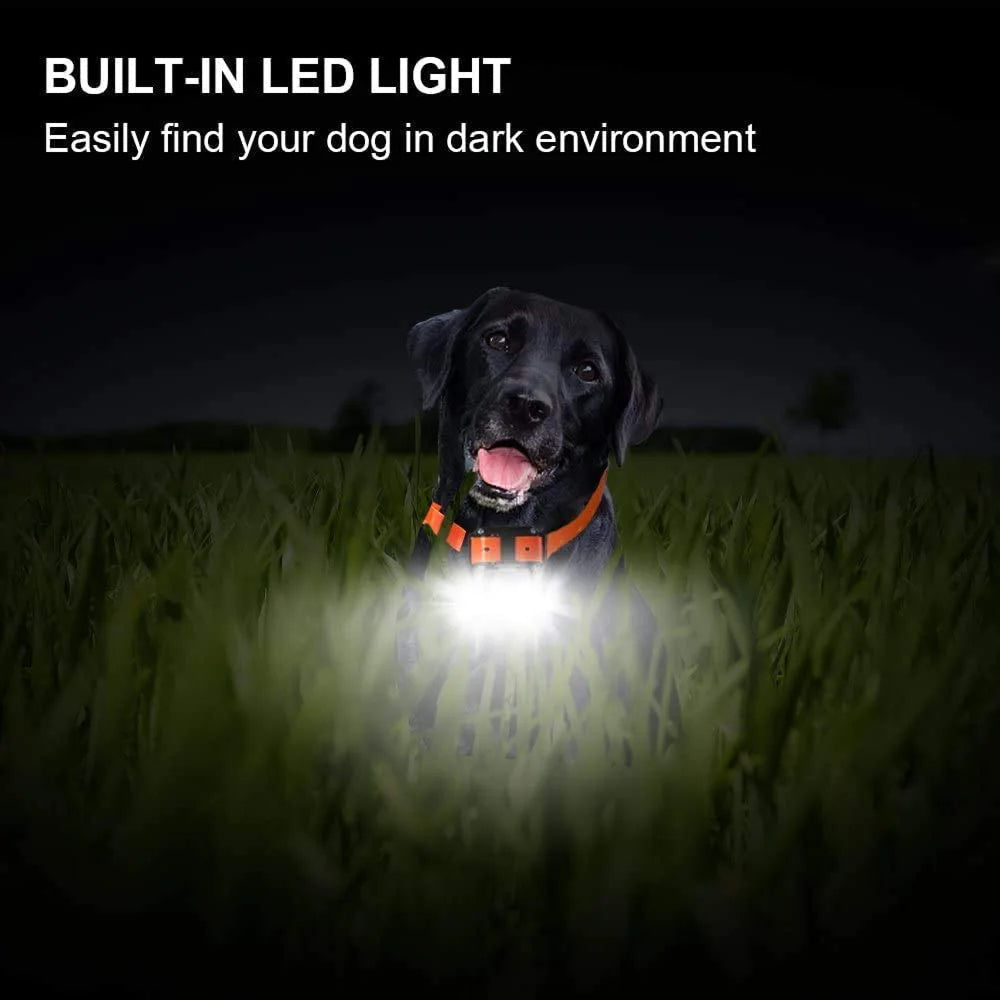 ShokiDex 800m Long Range Waterproof Dog Training Shock Collar