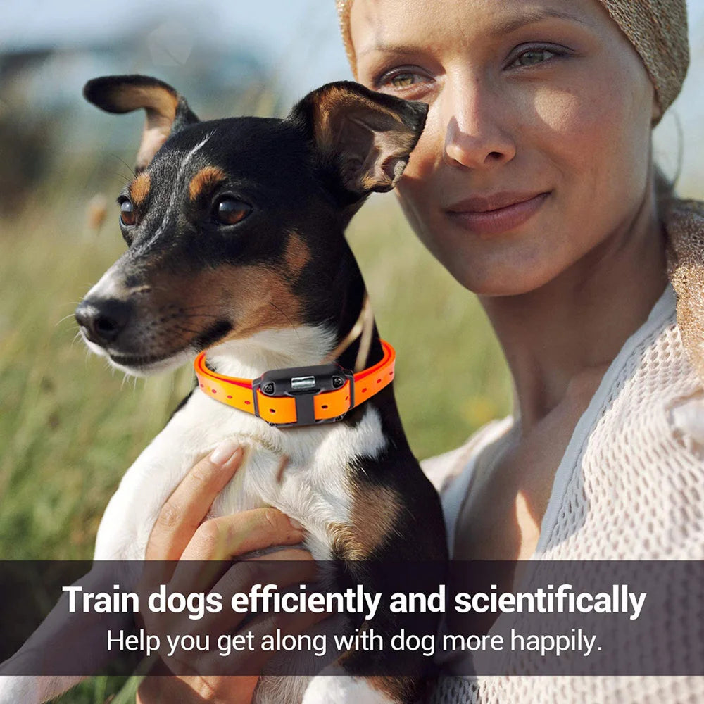 ShokiDex 800m Long Range Waterproof Dog Training Shock Collar