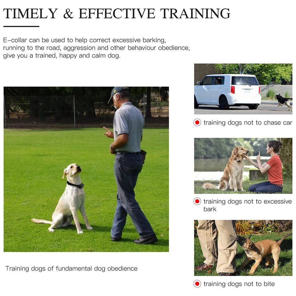 ShokiDex 800m Long Range Waterproof Dog Training Shock Collar