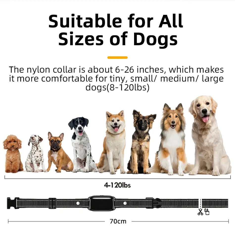 ShokiDex 800m Long Range Waterproof Dog Training Shock Collar