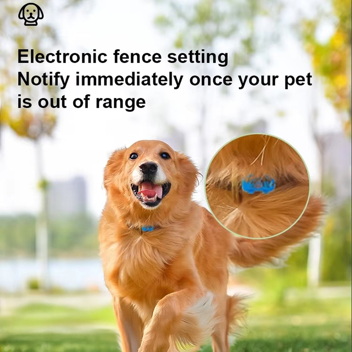 TrekoPup Real-Time 4G Dog Tracker with 300-Day Battery
