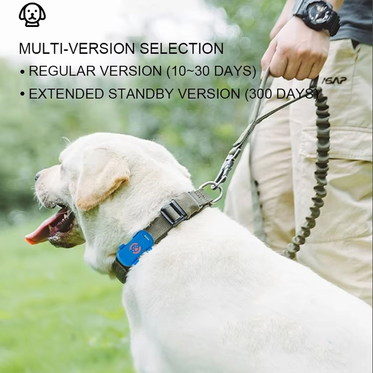 TrekoPup Real-Time 4G Dog Tracker with 300-Day Battery