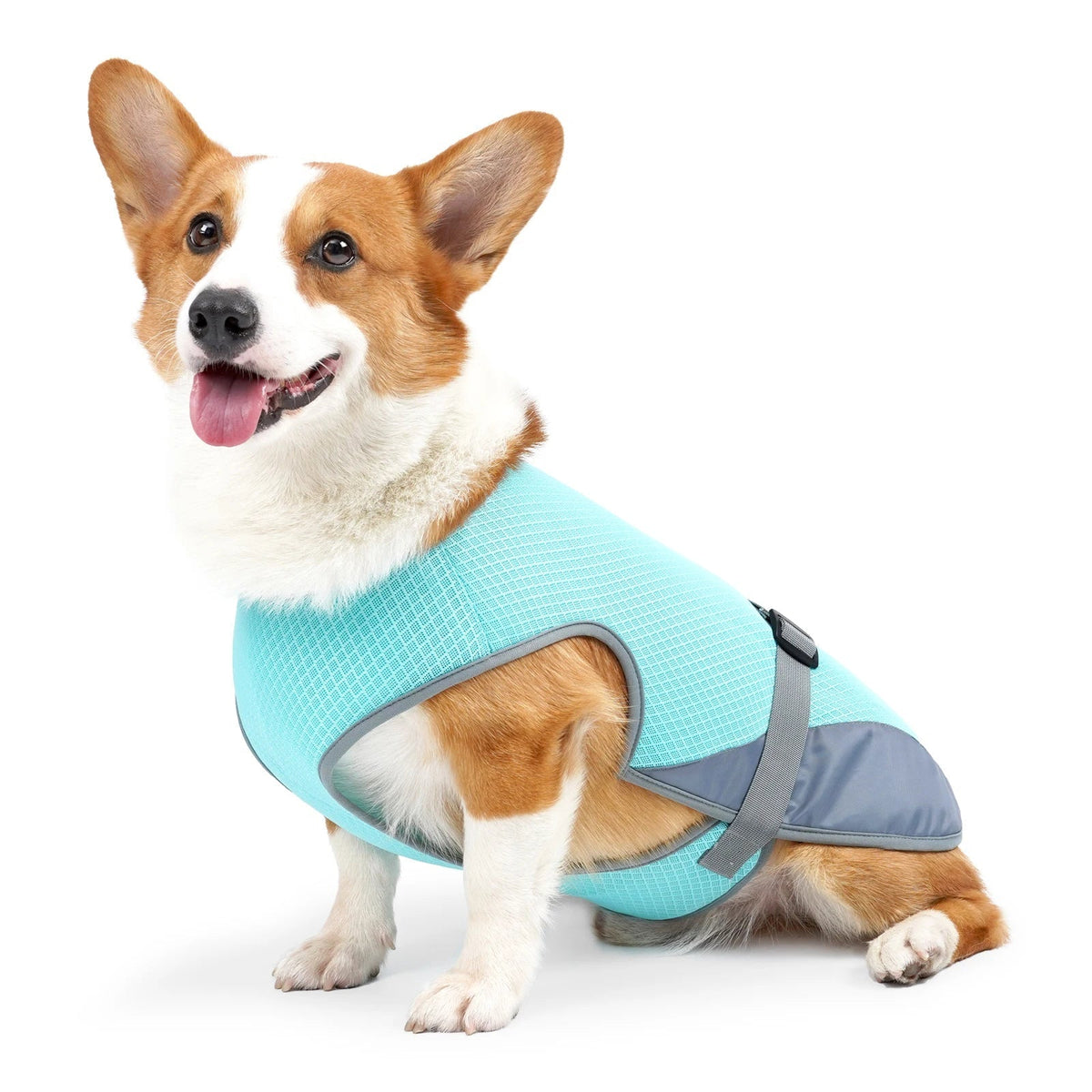VeciGimax Evaporative Heat Relief Jacket for Dogs