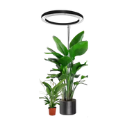 VynGreen